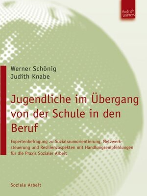 cover image of Jugendliche im Übergang von der Schule in den Beruf